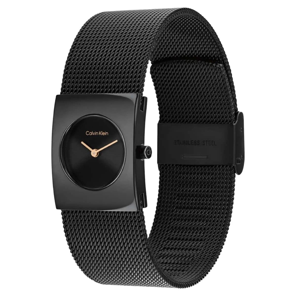 CALVIN KLEIN CK25100138 Kadın KOL SAATİ 2