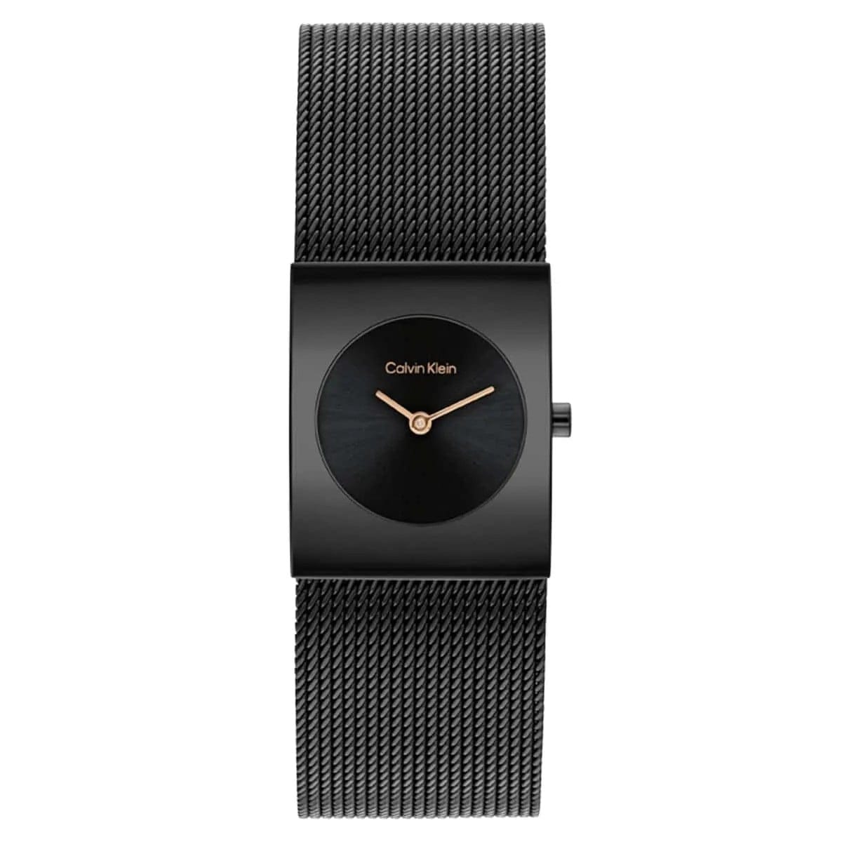 CALVIN KLEIN CK25100138 Kadın KOL SAATİ