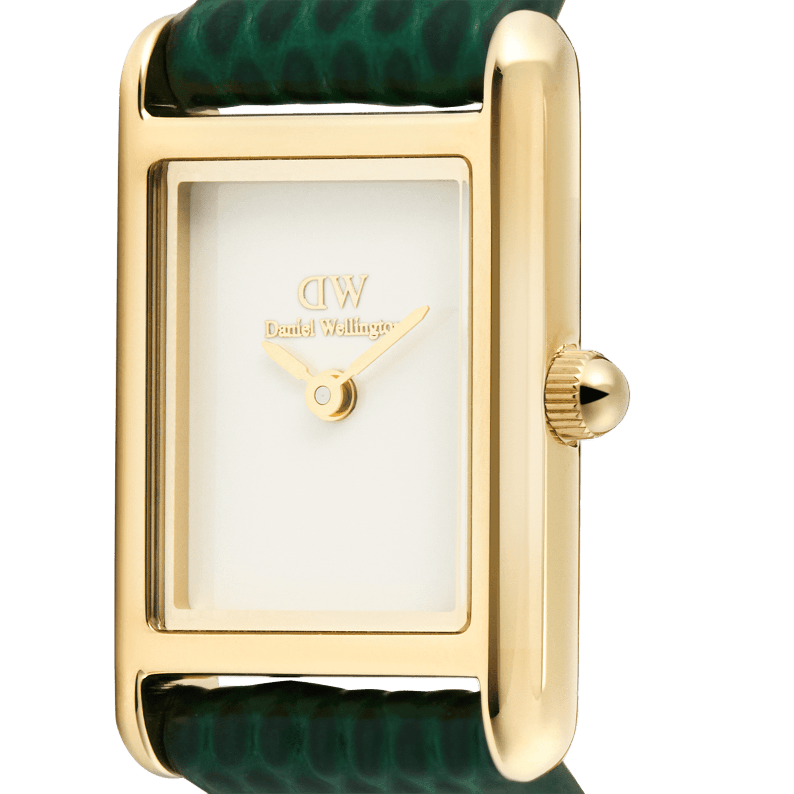 DANIEL WELLINGTON Bound Mini Green Lizard Gold DW00600906 Kadın KOL SAATİ 3