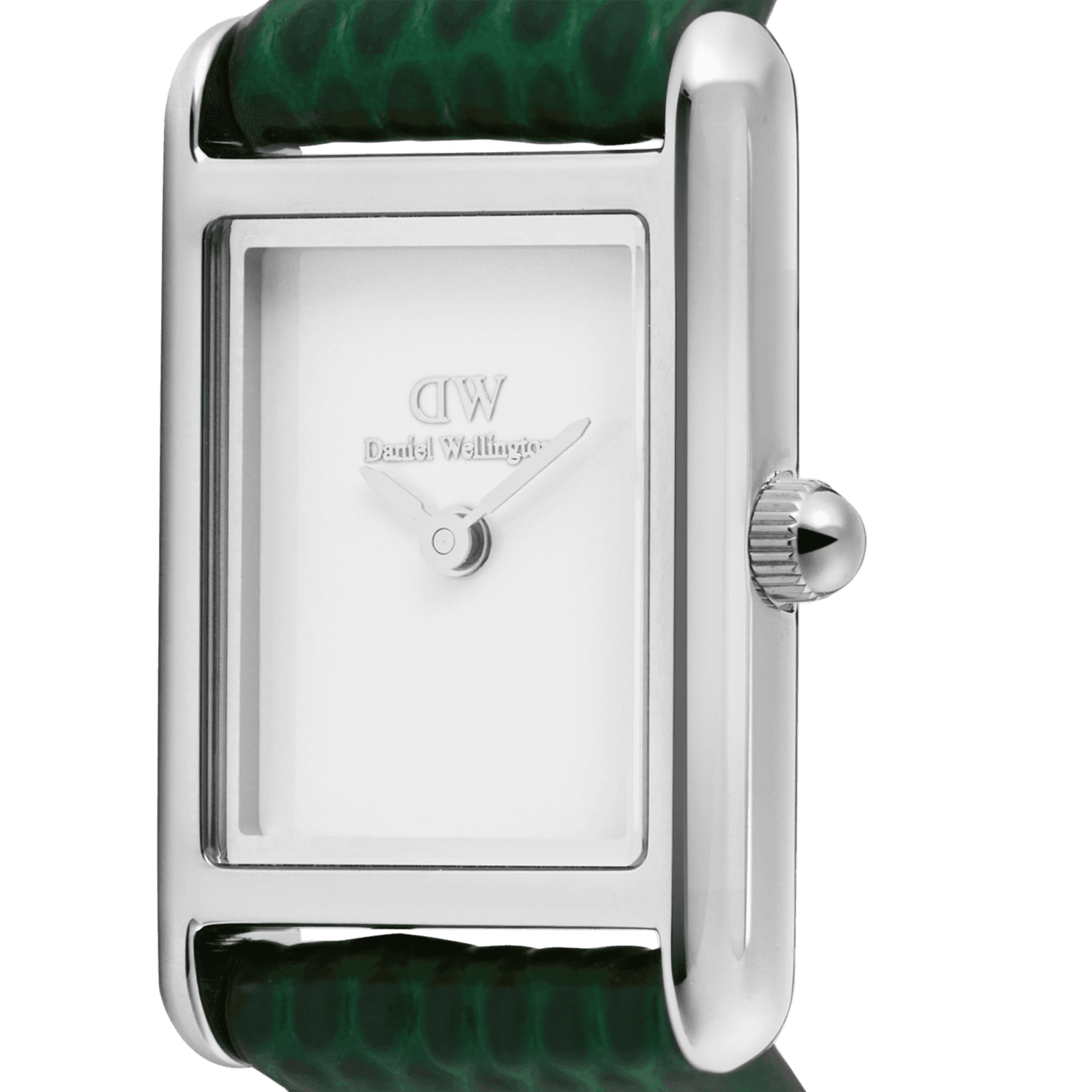 DANIEL WELLINGTON Bound Mini Green Lizard Silver DW00600902 Kadın KOL SAATİ 3