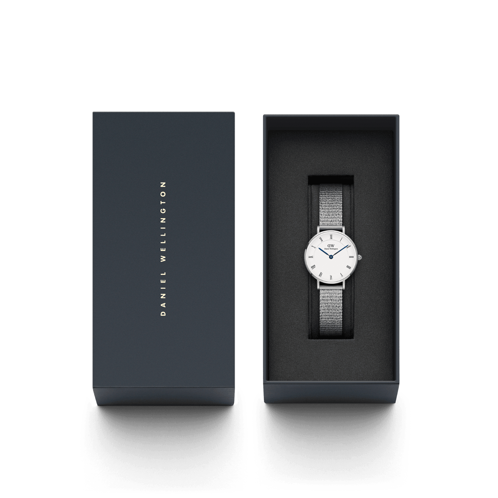 DANIEL WELLINGTON Petite Roman Numerals Sterling DW00600684 Kadın KOL SAATİ 5