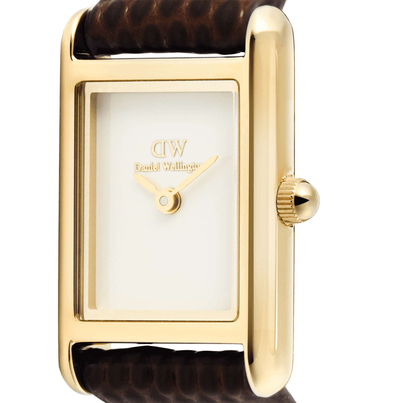 DANIEL WELLINGTON Bound Mini Dark Brown Lizard Gold DW00600904 Kadın KOL SAATİ 3