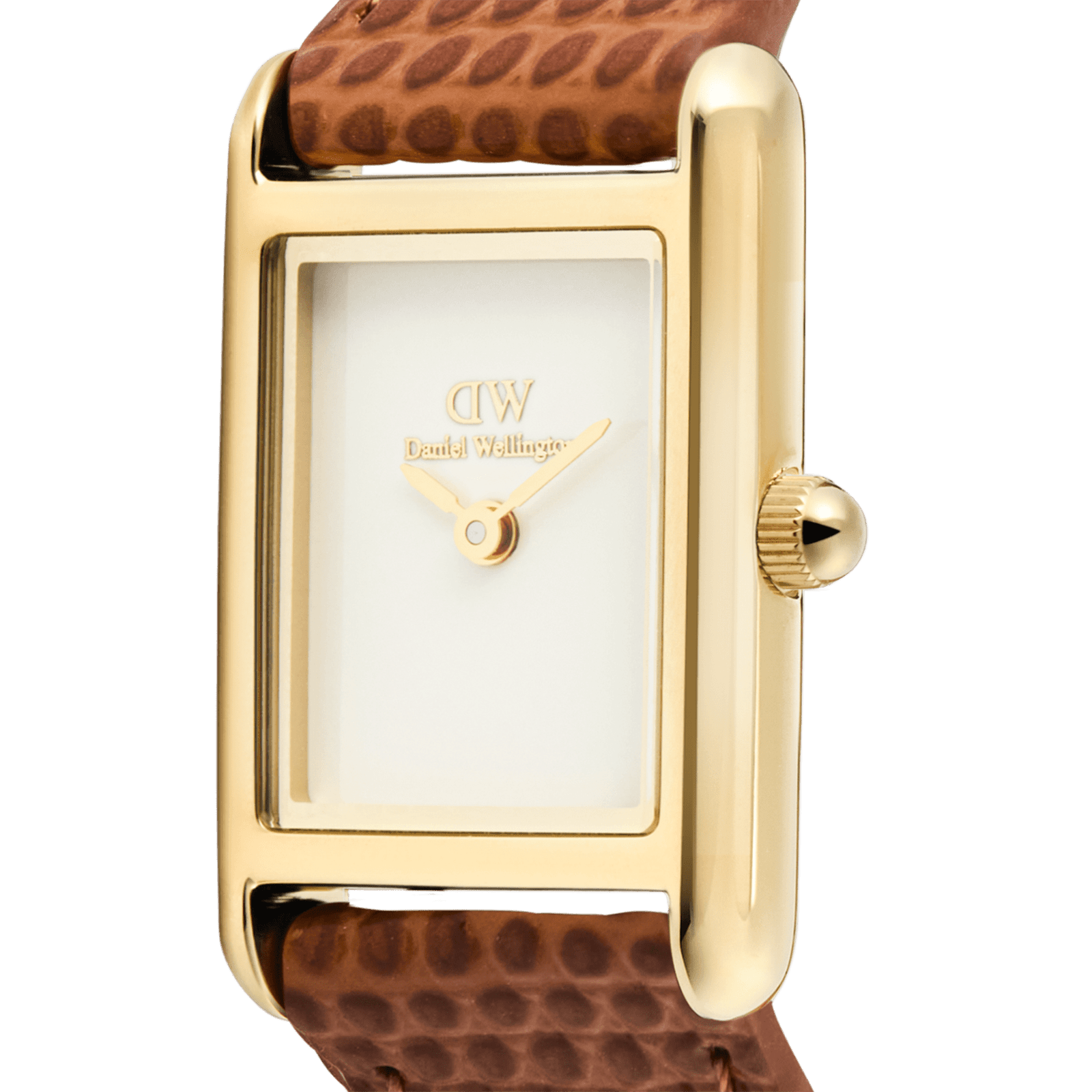 DANIEL WELLINGTON Bound Mini Light Brown Lizard Gold DW00600905 Kadın KOL SAATİ 3